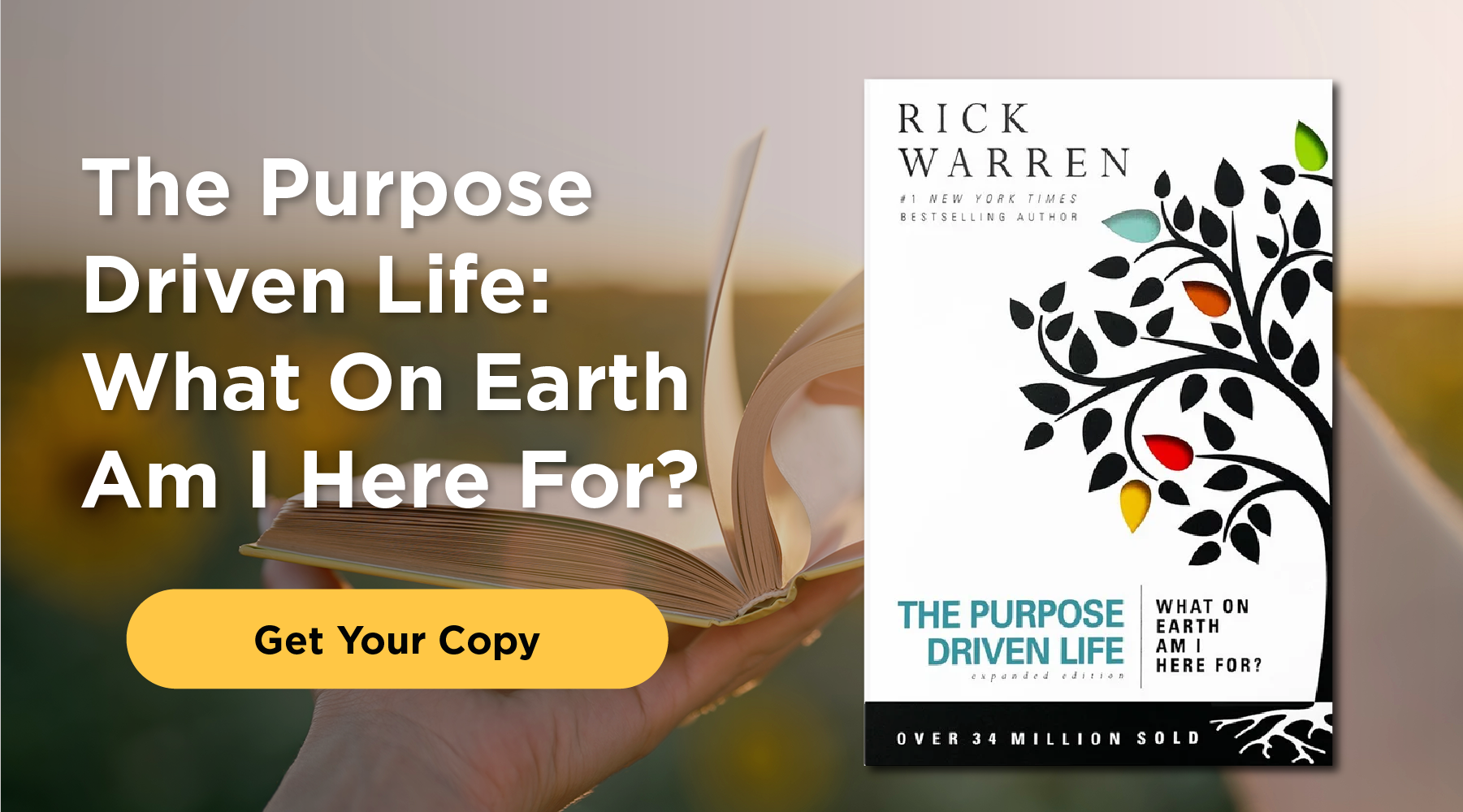 The Purpose Driven Life: What On Earth Am I Here For? Get your copy